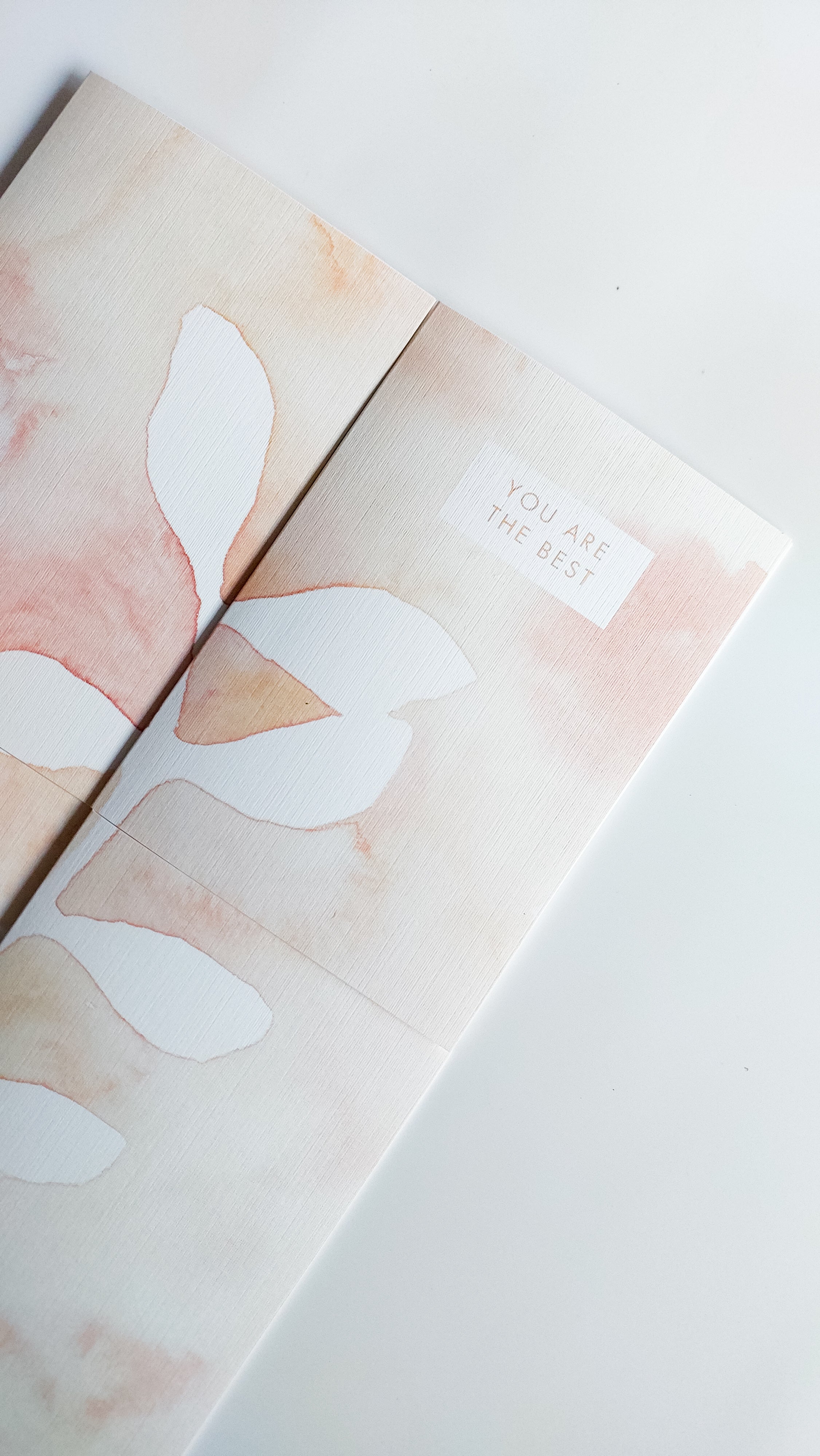 GREETING CARD SET - PEACH NEGATIVE BOTANICAL