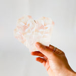 GIFT TAGS | PEACH NEGATIVE BOTANICAL
