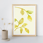 FOLIAGE PLAY