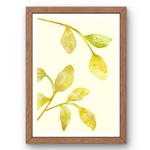 FOLIAGE PLAY
