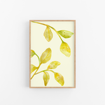 FOLIAGE PLAY