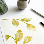 FOLIAGE PLAY