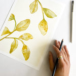 FOLIAGE PLAY