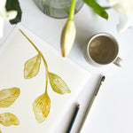 FOLIAGE PLAY