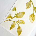 FOLIAGE PLAY
