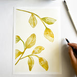 FOLIAGE PLAY