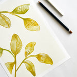 FOLIAGE PLAY