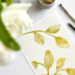 FOLIAGE PLAY